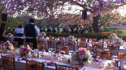 How LA Arboretum Tripled Booked Calls With Breezit AI